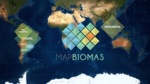 MapBiomas Network: collaborative and transparent mapping