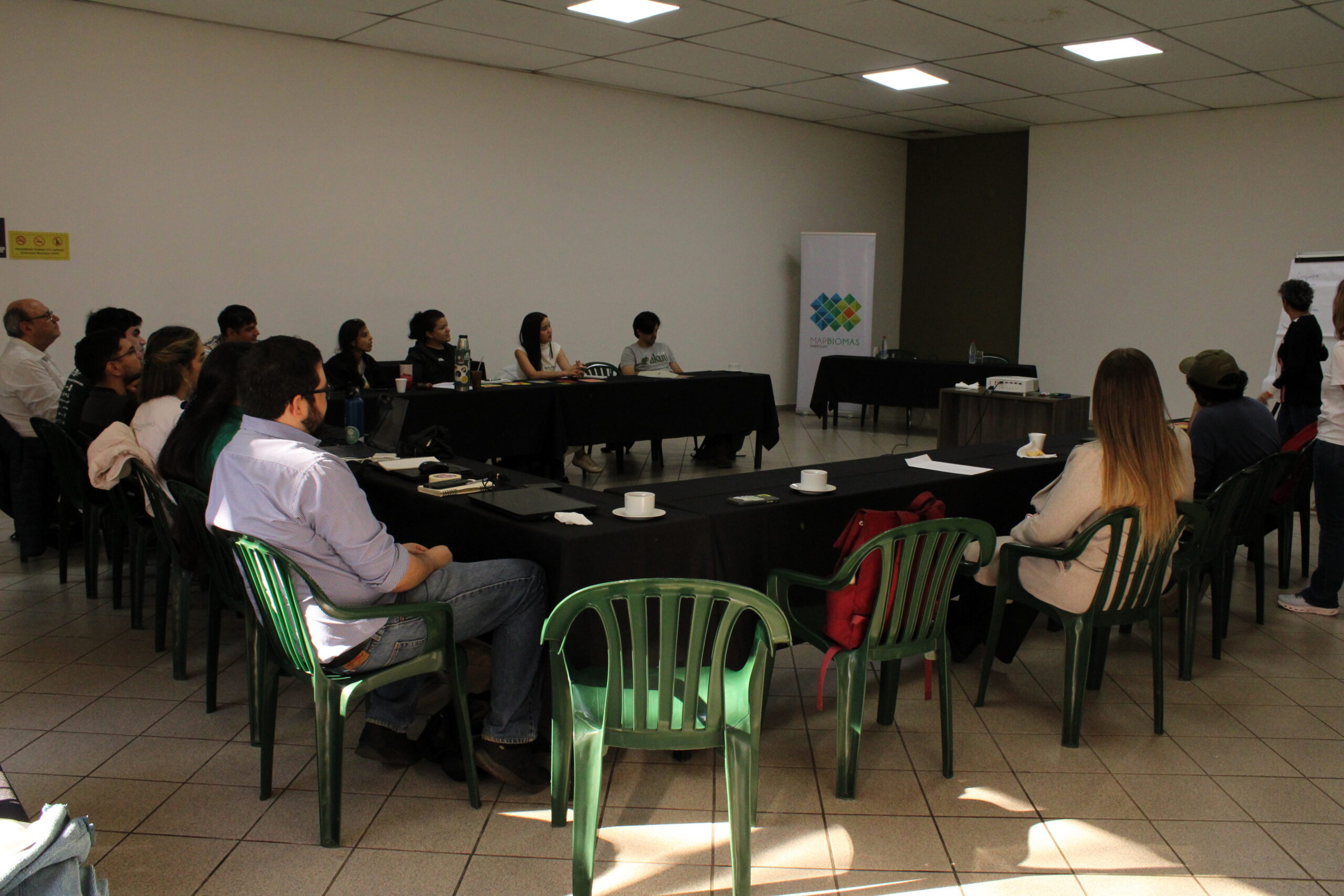 ¿Cómo se organiza MapBiomas Paraguay?